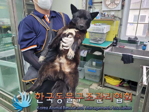 종료(자연사) 믹스…